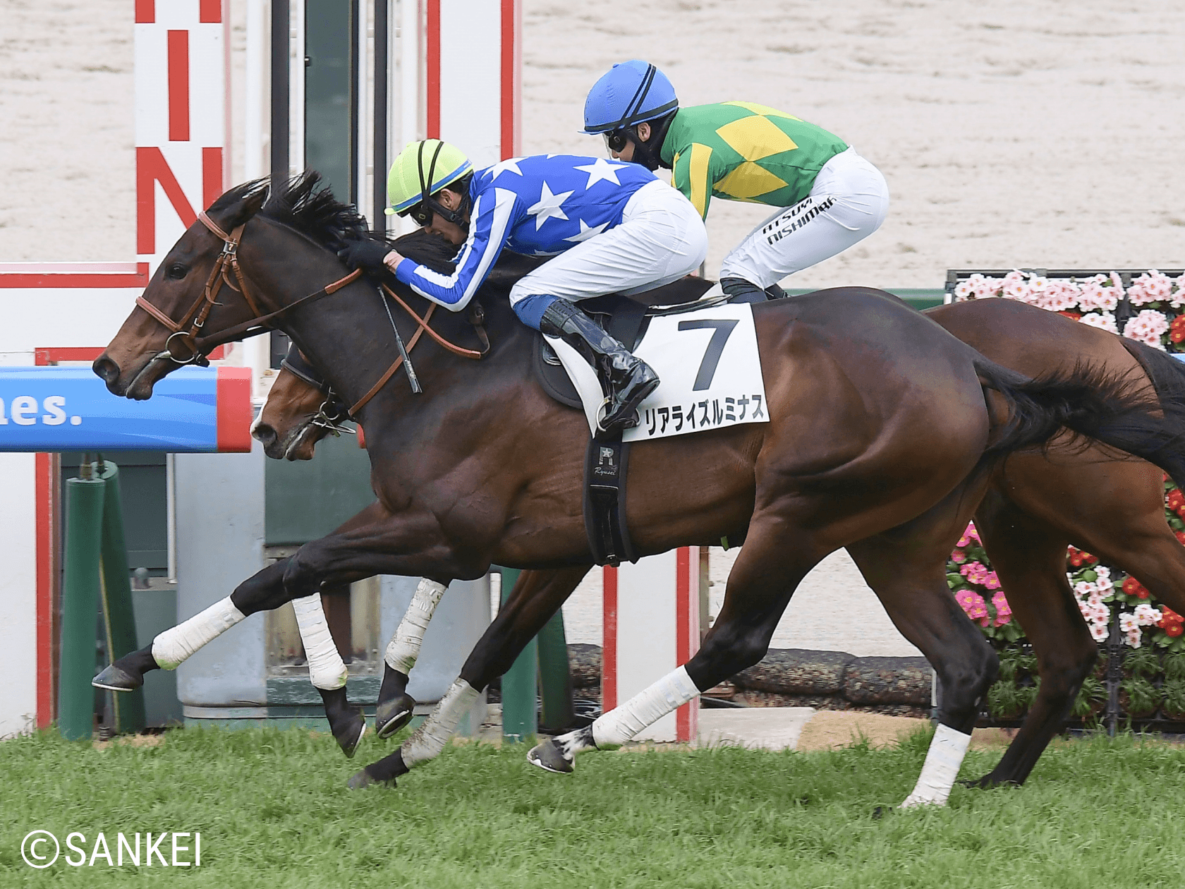 リアライズルミナス