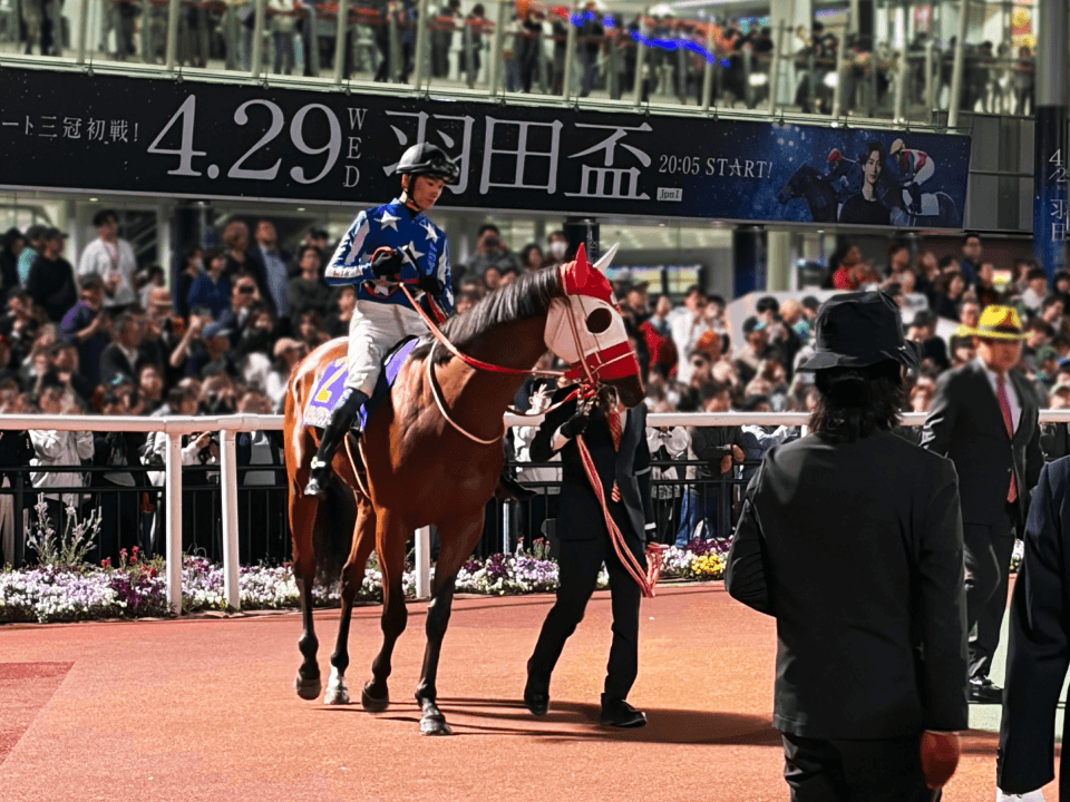 horse gallery